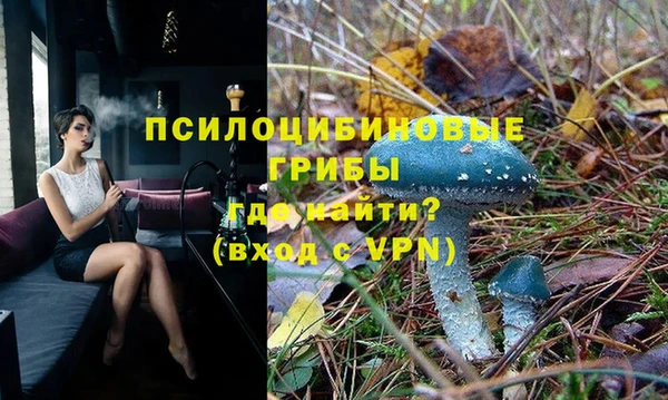 бутират Козловка