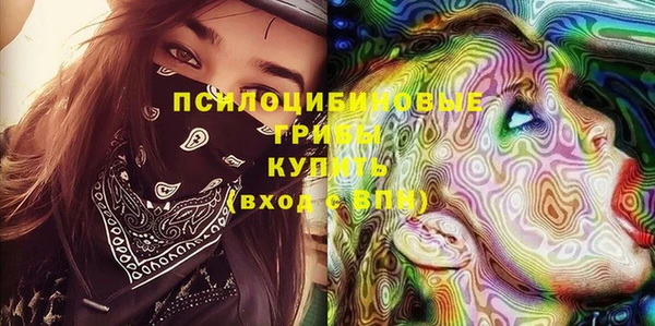 ГАЛЛЮЦИНОГЕННЫЕ ГРИБЫ Козельск